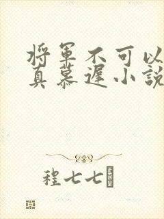 将军不可以魏云真慕迟小说笔趣阁