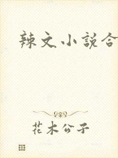 辣文小说合集