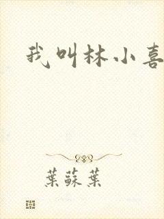 我叫林小喜17
