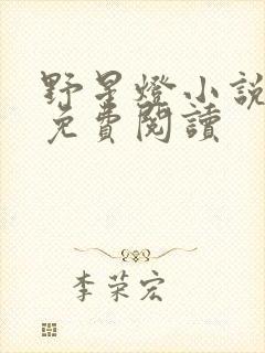 野星灯小说全文免费阅读封面