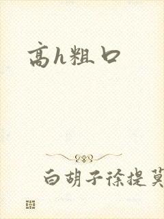 高h粗口