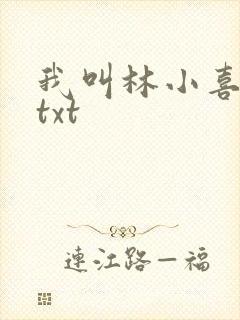 我叫林小喜小说txt