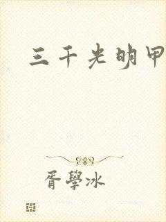三千光明甲