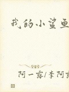 我的小鲨鱼