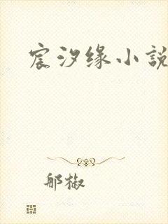 宸汐缘小说封面