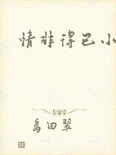情非得已小说