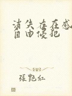 消失存在感消失自由侵犯