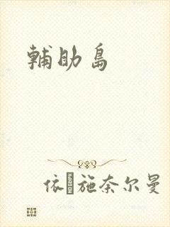 辅助岛