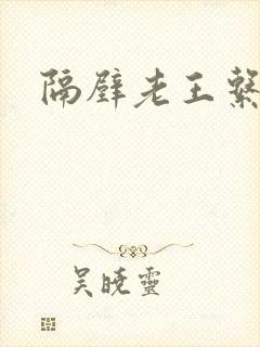 隔壁老王系统