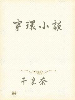 穿环小说