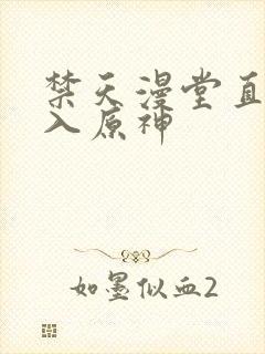 禁天漫堂直接进入原神