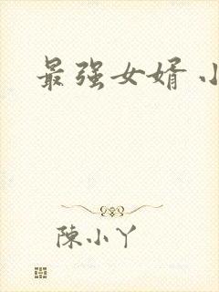 最强女婿 小说封面