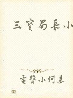 三宝局长小说封面