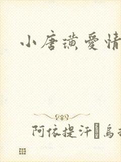 小唐璜爱情历史