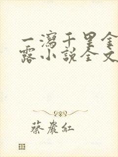 一泻千里金银花露小说全文免费阅读封面