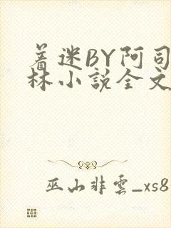 着迷BY阿司匹林小说全文免费阅读
