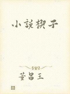 小说楔子封面