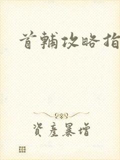 首辅攻略指南