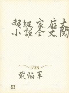 超级家庭大杂烩小说全文阅读封面