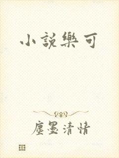 小说乐可封面