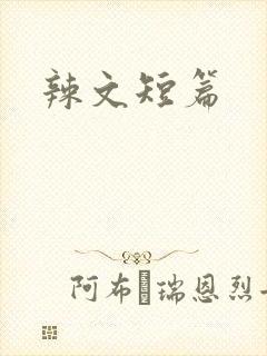 辣文短篇封面