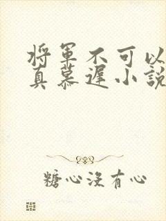将军不可以魏云真慕迟小说笔趣阁