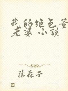 我的绝色董事长老婆 小说