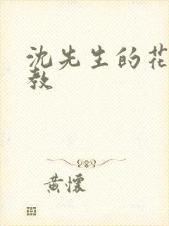 沈先生的花式管教