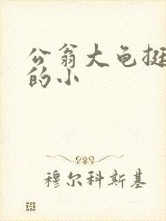 公翁大龟挺进我的小