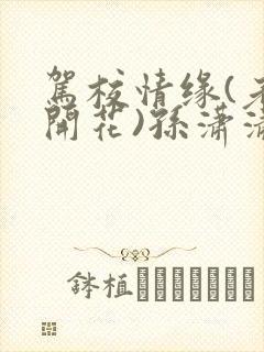 驾校情缘(老树开花)孙潇潇第一次趣笔阁