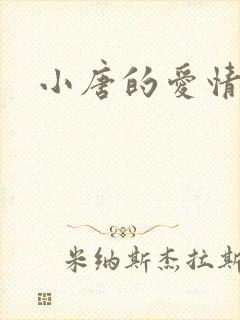 小唐的爱情史