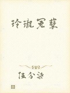玲珑冤孽