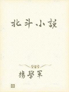 北斗小说封面