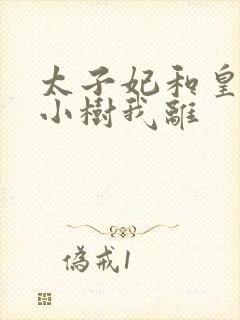太子妃和皇上在小树我离封面