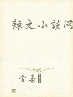 辣文小说网封面