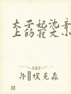 太子妃沈音和皇上的宠文小说