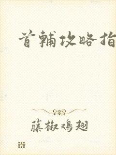 首辅攻略指南