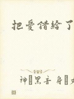 把爱错给了你