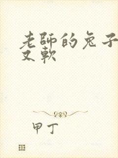 老师的兔子又大又软