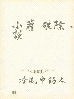 小萝 破除 小说