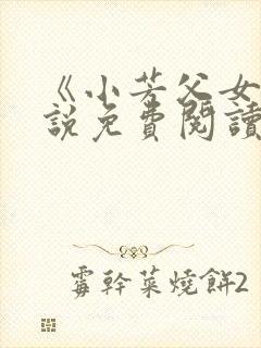 《小芳父女》小说免费阅读