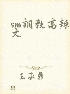 sm调教高辣h文封面