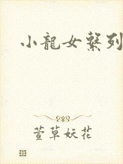 小龙女系列小说封面