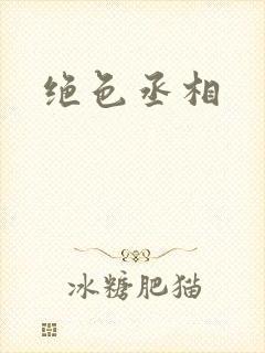 绝色丞相