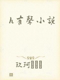h有声小说封面
