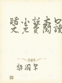 赌小说木口银全文免费阅读笔趣阁