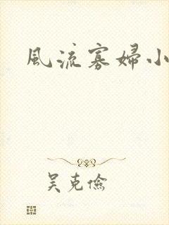 风流寡妇小说