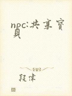 npc:共享宝贝