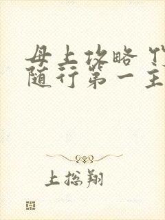 母上攻略 竹影随行第一主板