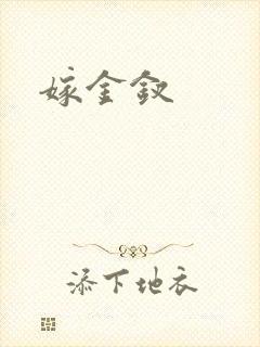 嫁金钗封面
